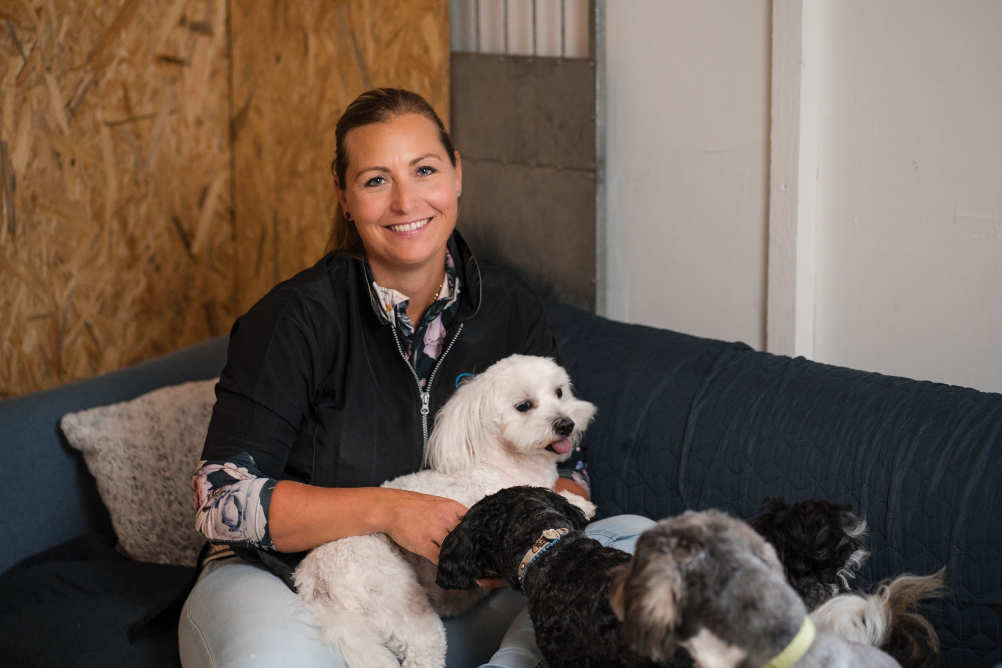 Hunde klipning af hundefrisør i Hørning