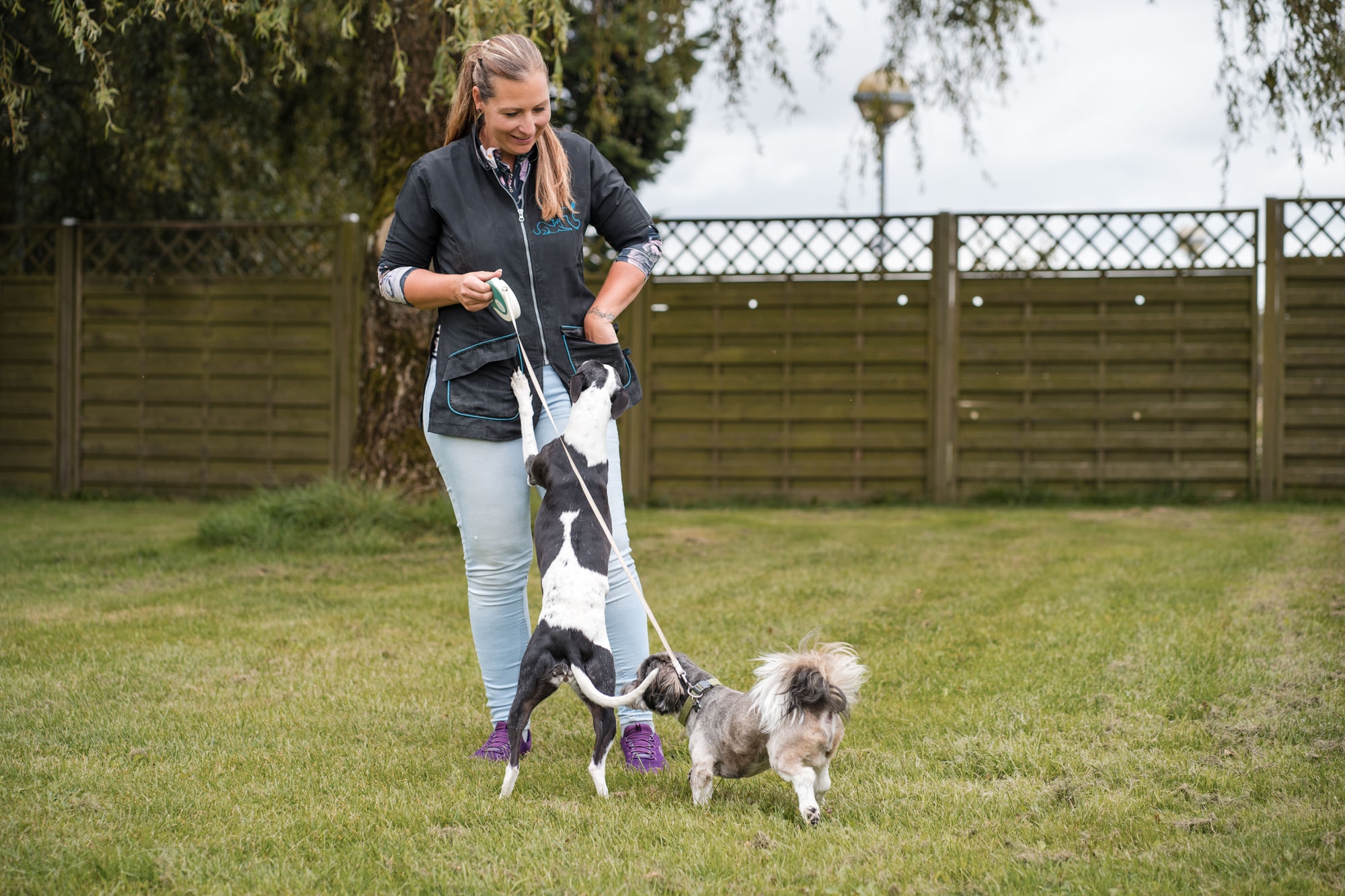 Hundefrisør i Hørning
